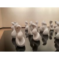 曖昧な身体　16の観測