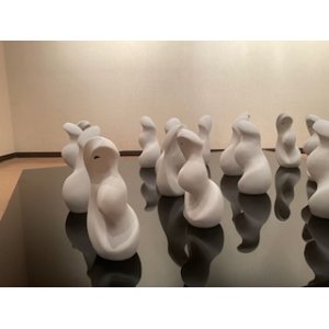 曖昧な身体　16の観測