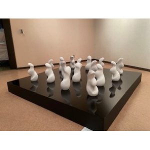 曖昧な身体　16の観測