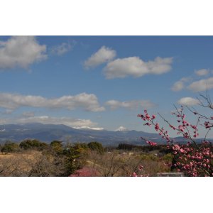 霧島連峰遠景